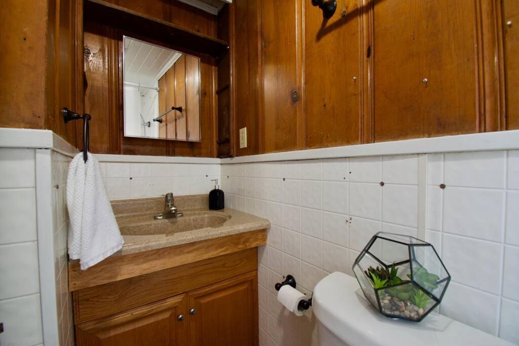 Cajun Stays - Studio Garfield - Pet Friendly Lafayette Extérieur photo